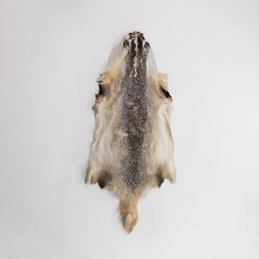 American Badger Fur