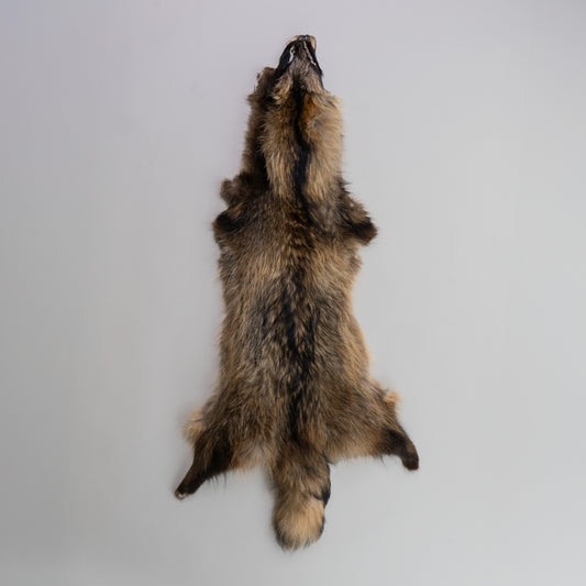 Raccoon Dog Fur