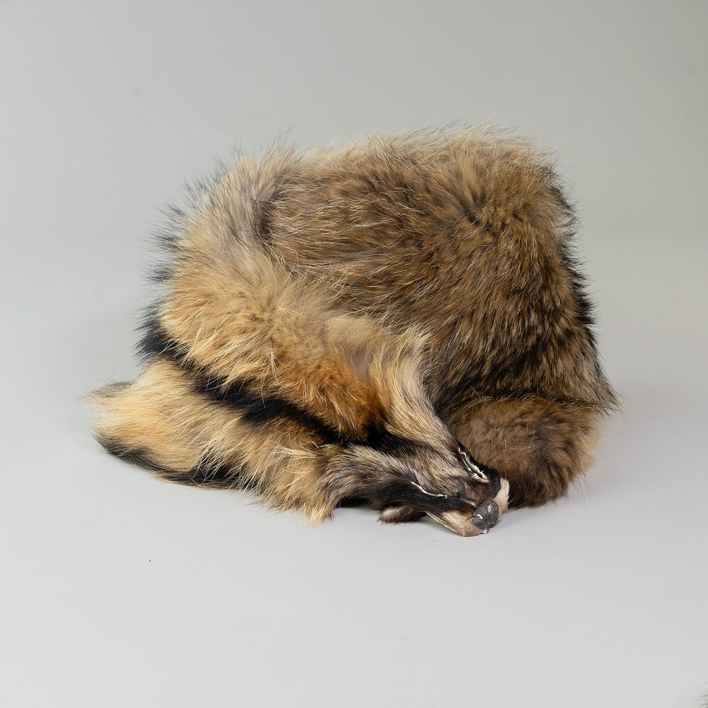 Raccoon Dog Fur