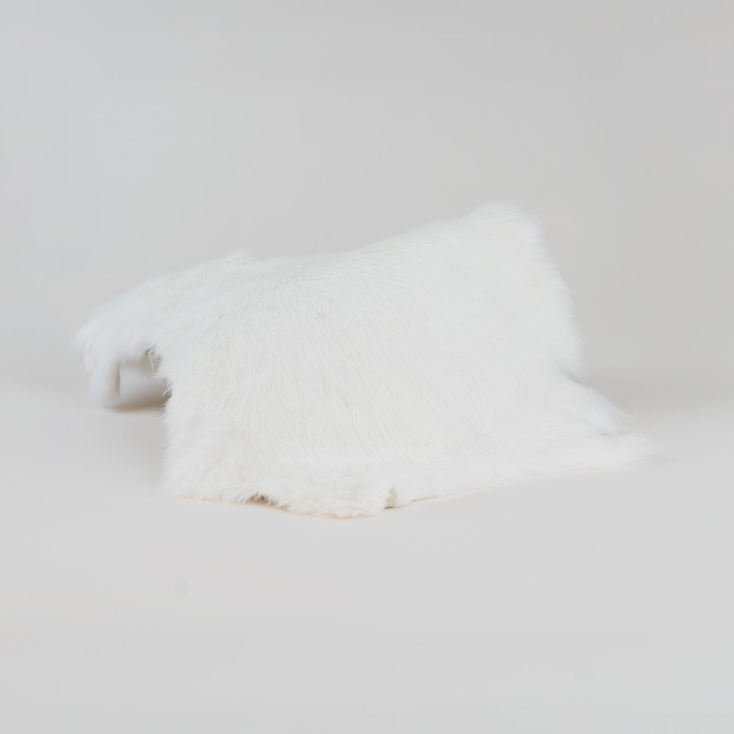 Rabbit Fur