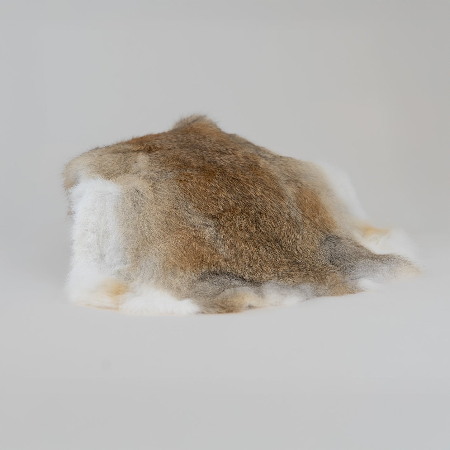 Rabbit Fur