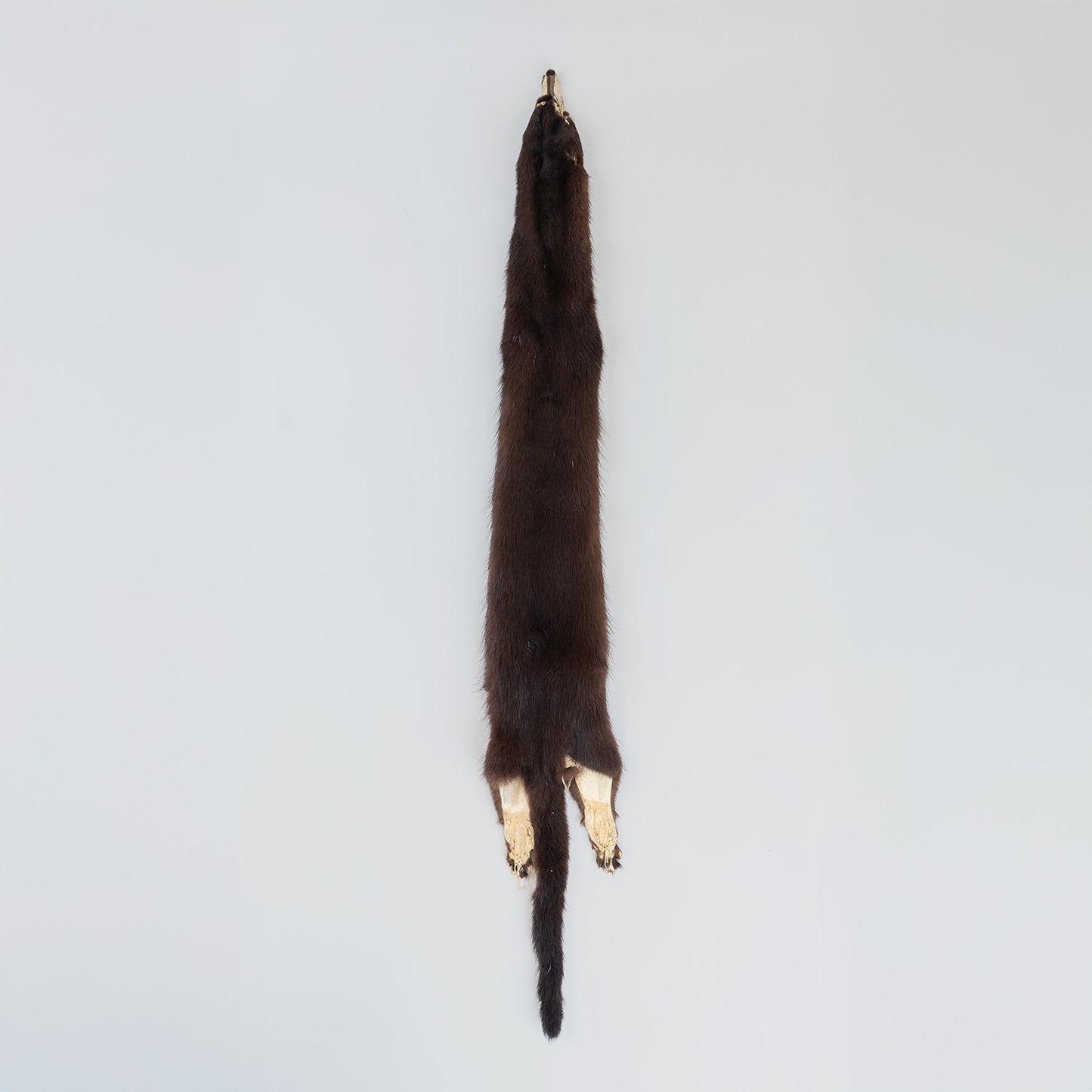 Mink Fur