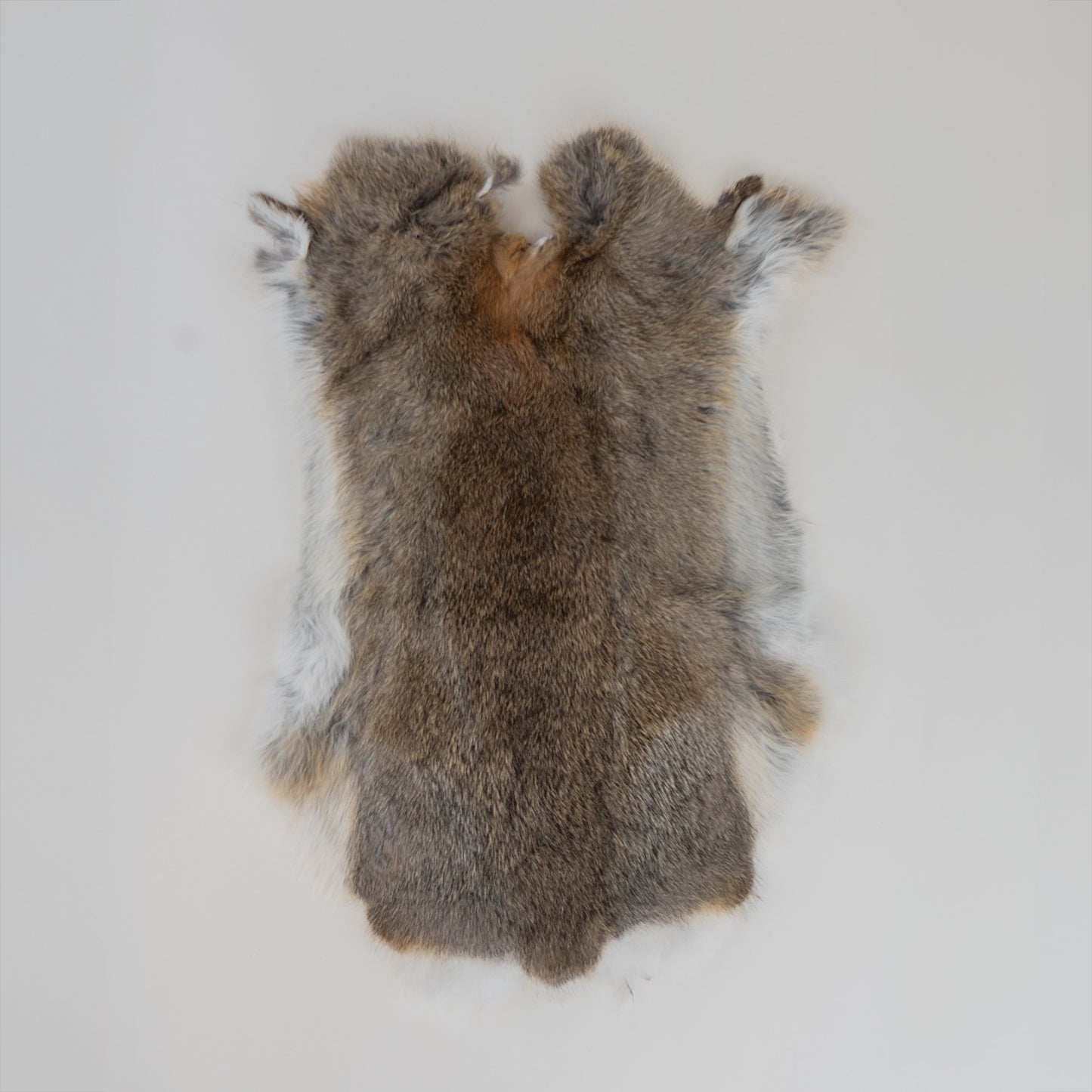 Rabbit Fur