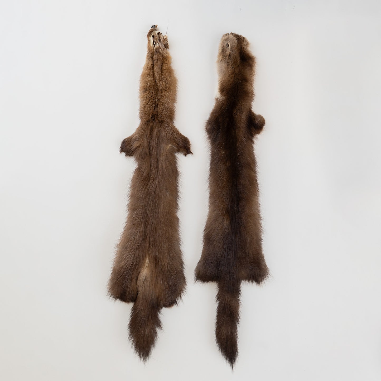 Sable Fur