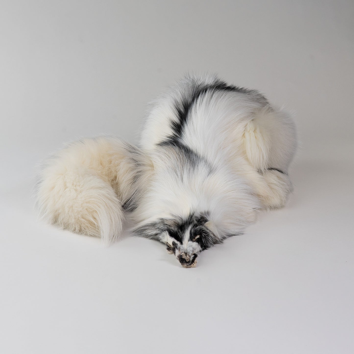 Artic Marvel Fox Fur
