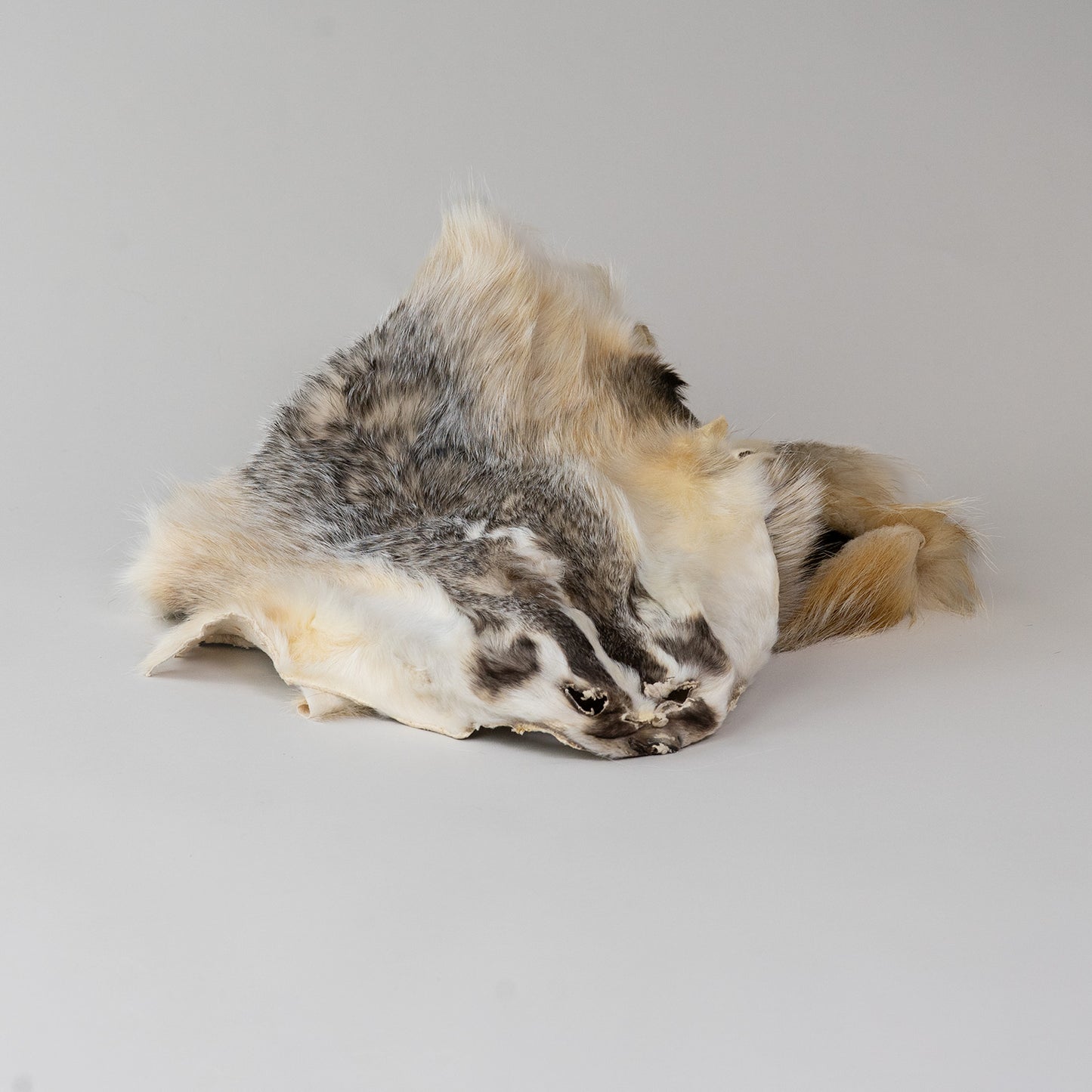 American Badger Fur