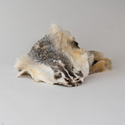 American Badger Fur