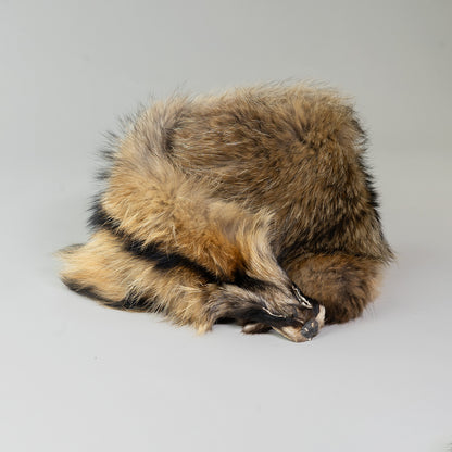 Raccoon Dog Fur