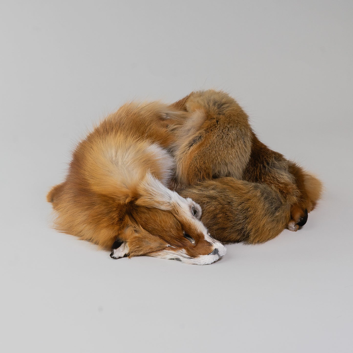 Red Fox Fur