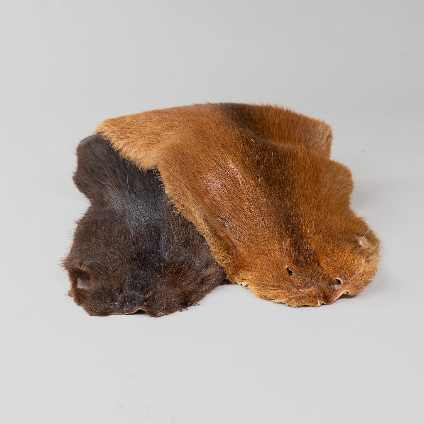 Nutria Fur